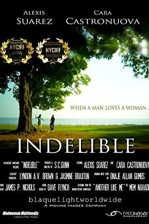 Постер к фильму Indelible (2014)