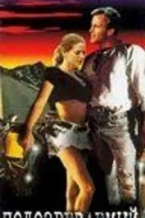 Постер к фильму Подозреваемый (1991)