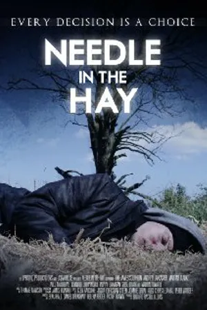 Постер к фильму Needle in the Hay (2011)