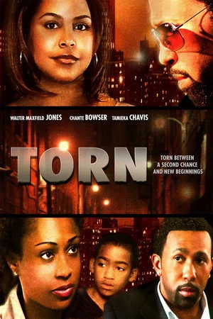 Постер к фильму Torn (2010)