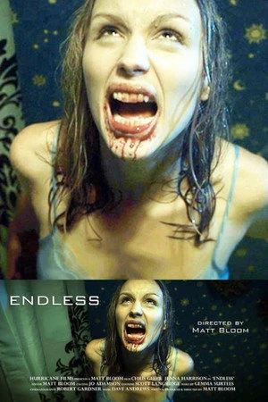 Постер к фильму Endless (2011)