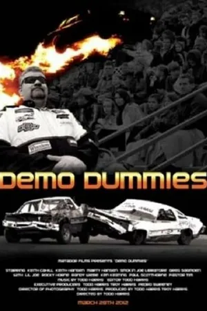 Постер к фильму Demo Dummies (2012)
