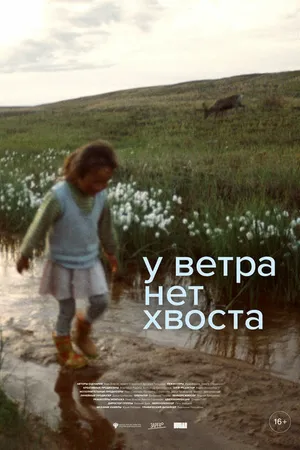Постер к фильму У ветра нет хвоста (2024)