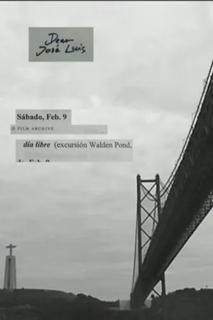 Постер к фильму Correspondencia Jonas Mekas - J.L. Guerin (2011)