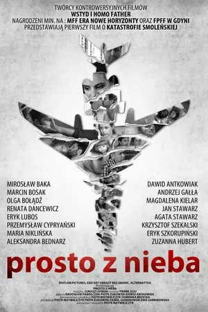 Постер к фильму Прямо с неба (2011)