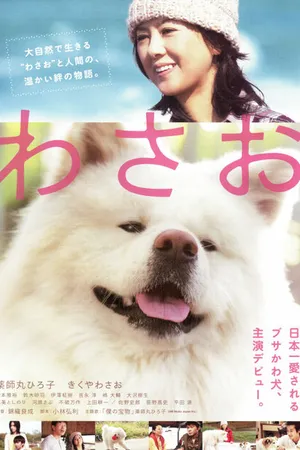 Постер к фильму Васао (2011)