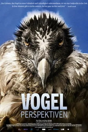 Постер к фильму Vogelperspektiven (2023)