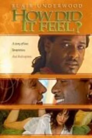 Постер к фильму How Did It Feel? (2004)