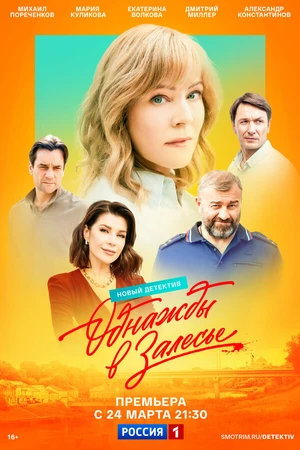 Постер к сериалу Однажды в Залесье (2024)