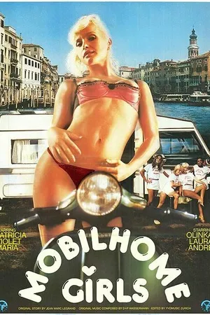 Постер к фильму Девушки из дома на колёсах (1985)