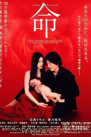 Постер к фильму Жизнь (2002)