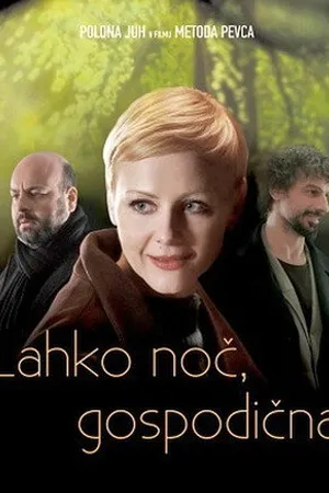 Постер к фильму Спокойной ночи, мисс (2011)