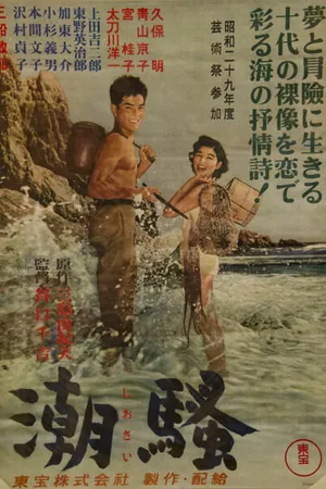 Постер к фильму Шум прибоя (1954)