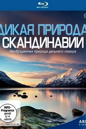 Постер к сериалу Дикая природа Скандинавии (2011)