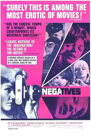 Постер к фильму Негативы (1968)