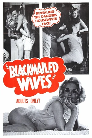 Постер к фильму Blackmailed Wives (1968)