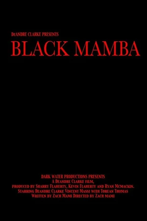 Постер к фильму Черная Мамба (2011)