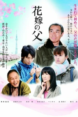 Постер к фильму Отец невесты (2012)