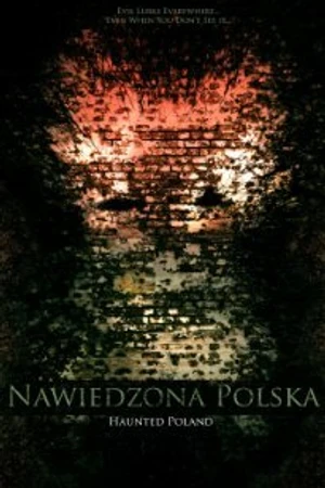 Постер к фильму Призраки в Польше (2011)