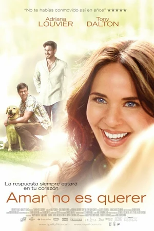 Постер к фильму Любовь не любовь (2011)
