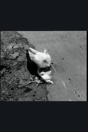 Постер к фильму The Delmarva Chicken of Tomorrow (2003)