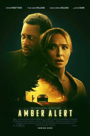 Постер к фильму Эмбер Алерт (2024)