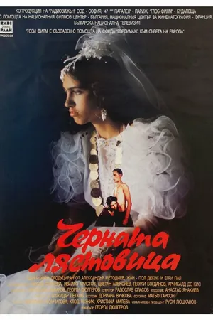 Постер к фильму Черная ласточка (1996)