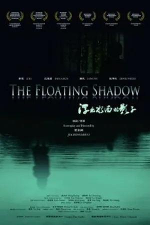 Постер к фильму Плавающая тень (2011)