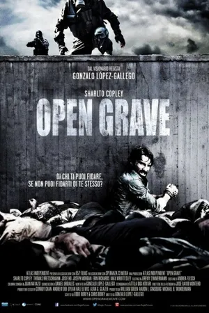 Постер к фильму Открытая могила (2013)