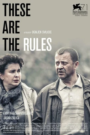 Постер к фильму Таковы правила (2014)