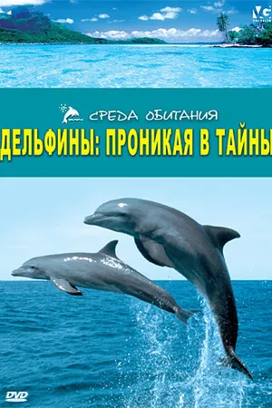 Постер к фильму Дельфины: Проникая в тайны (2006)