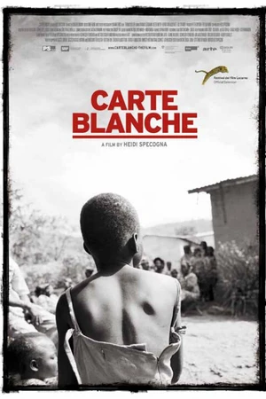 Постер к фильму Карт-бланш (2011)