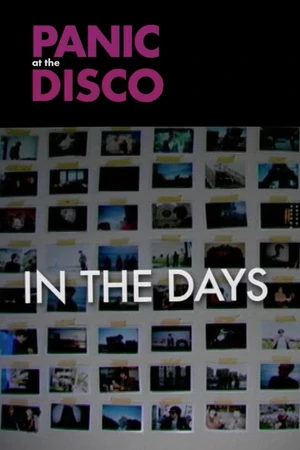 Постер к фильму Panic! at the Disco: In the Days (2011)