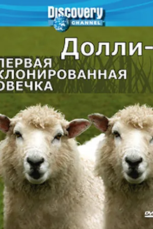 Постер к фильму Discovery: Долли — первая клонированная овечка (2006)