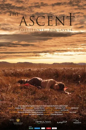 Постер к фильму Заключительная глава (2011)