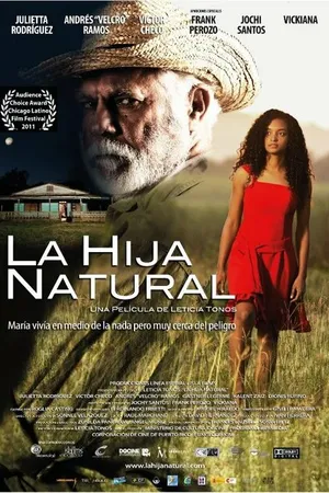 Постер к фильму Родная дочь (2011)