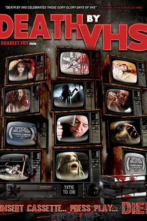 Постер к фильму Death by VHS (2013)