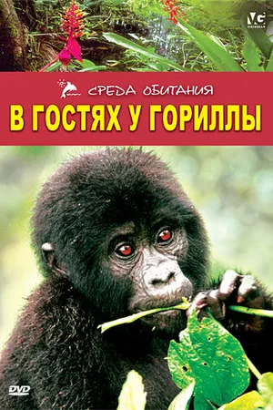 Постер к фильму В гостях у гориллы (1997)