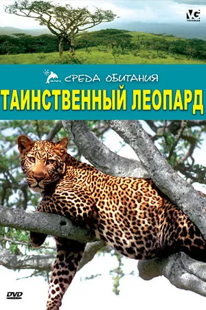 Постер к фильму Таинственный леопард (2001)