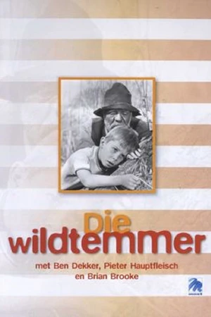 Постер к фильму Die Wildtemmer (1973)