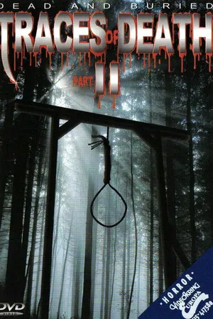Постер к фильму Лики смерти 2 (1994)