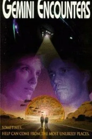 Постер к фильму Встреча с близнецами (1995)