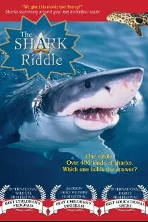 Постер к фильму The Shark Riddle (2011)