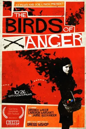 Постер к фильму The Birds of Anger (2011)
