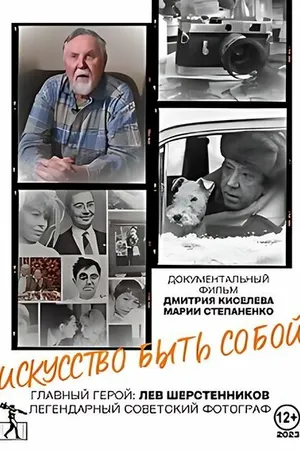 Постер к фильму Искусство быть собой (2024)