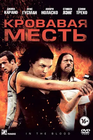 Постер к фильму Кровавая месть (2013)