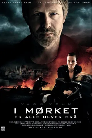 Постер к фильму Варг Веум: Ночью все волки серы (2011)