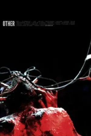 Постер к фильму Other (2012)