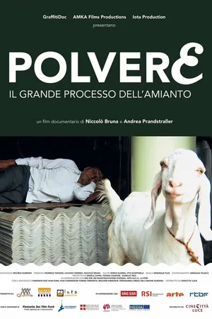 Постер к фильму Polvere - Il grande processo dell'amianto (2011)