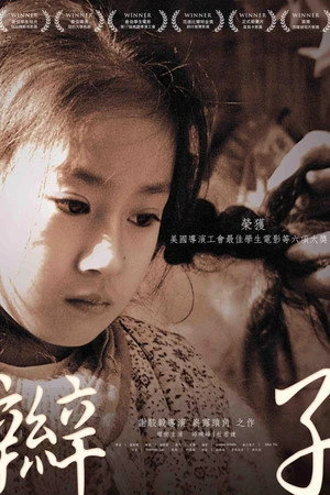 Постер к фильму 辮子 (2011)
